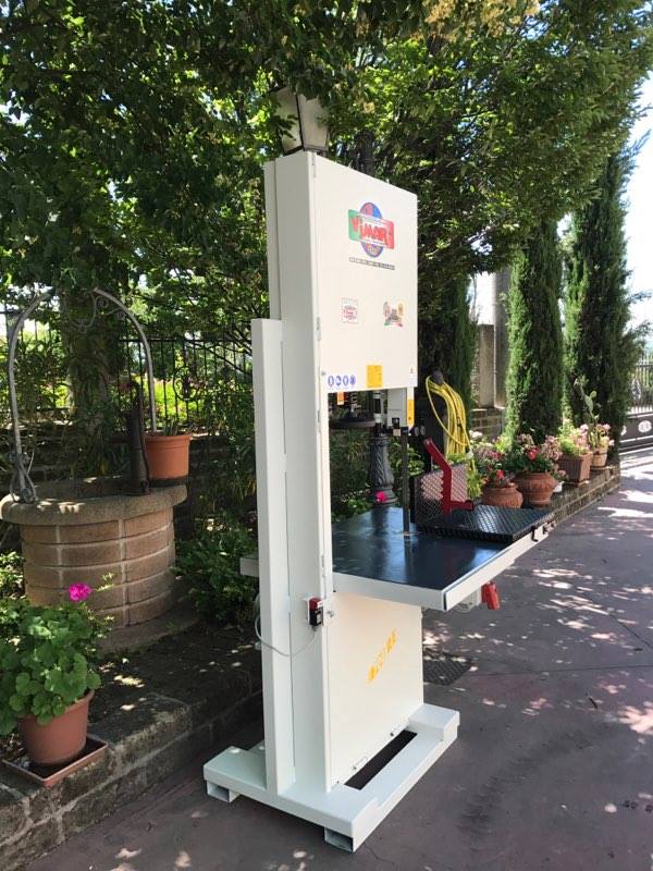 MODELLO SEGA A NASTRO 700 R.E.