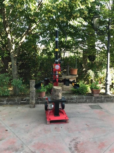 MODELLO SPACCALEGNA IDRAULICO VERTICALI CORSA 1000 DA 10 TONNELLATE S.I.T.